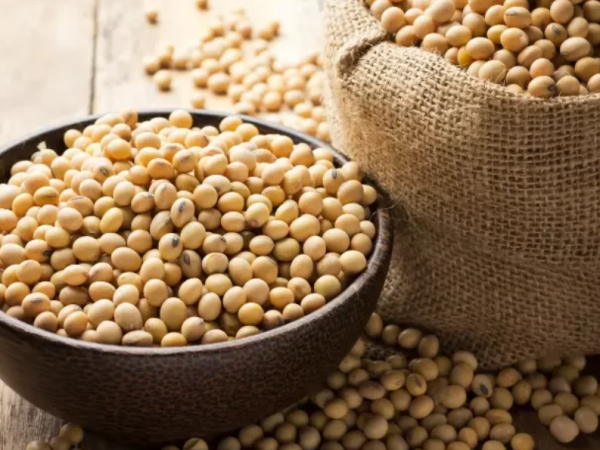 Đậu Nành – Dinh Dưỡng Từ Đậu Nành Bạn Nên Biết